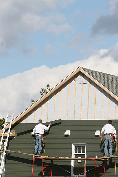 Best Vinyl Siding Installation  in Campbell, FL